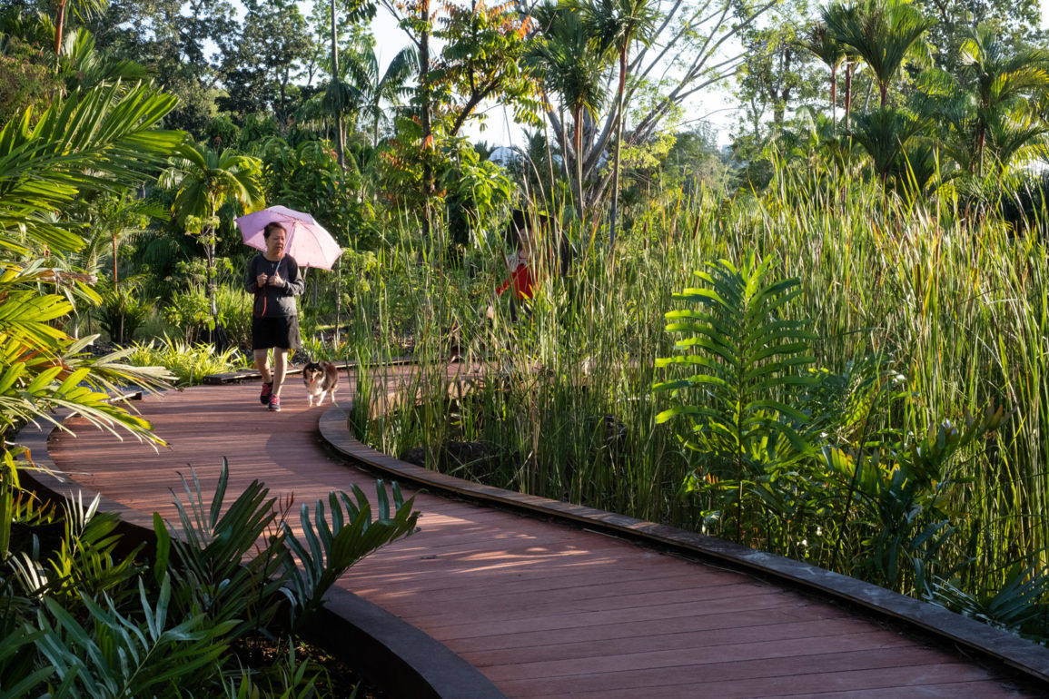 Woman with umbrella walking along path