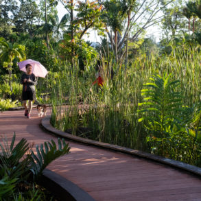 Woman with umbrella walking along path