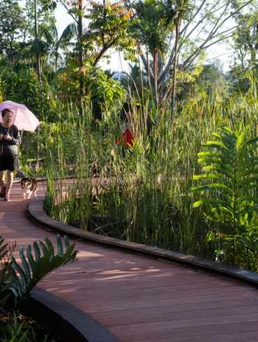 Woman with umbrella walking along path