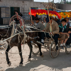 horse drawn cart on dusty unpaved street with at least 9 people aboard