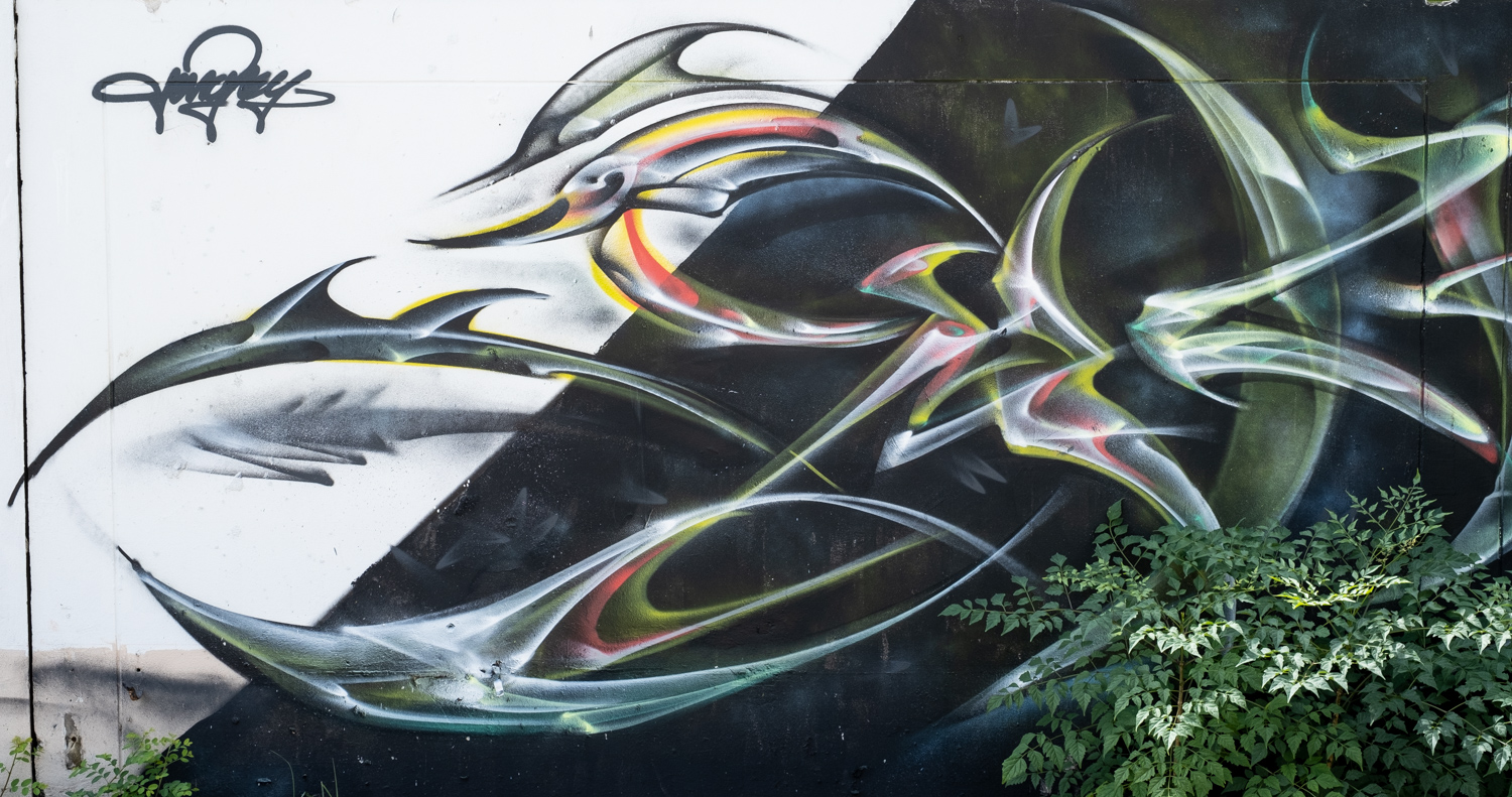 wispy stylized sweeps of graffiti that give the impression of fish