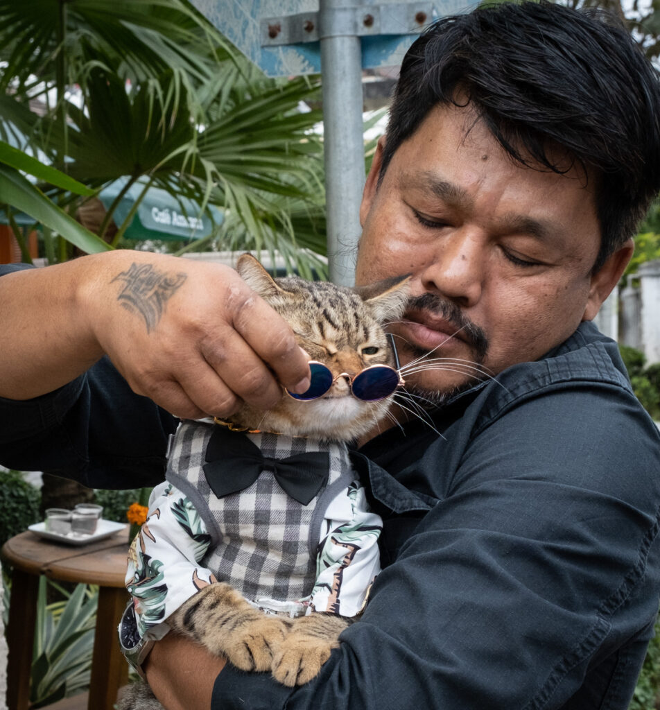 man trying to put glasses on a cat wearing a bow tie